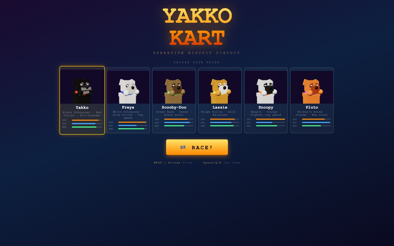 Yakko Kart — screenshot